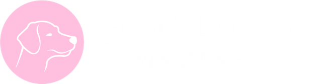 Savuti's Dogwash